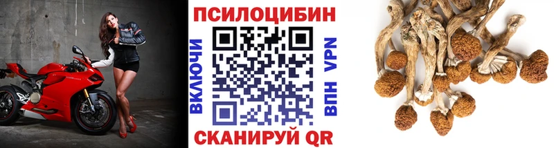 Псилоцибиновые грибы ЛСД  Купить закладки  Сорск 
